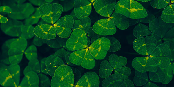 ¿Qué se celebra el Día de San Patricio?